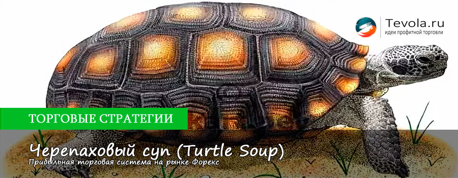 Прибыльная торговая система «Черепаховый суп» на Форекс
